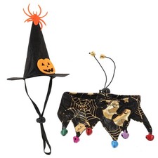  Deguisement Pour Chat