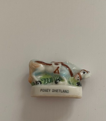 Feve poney shetland chevaux - feve,