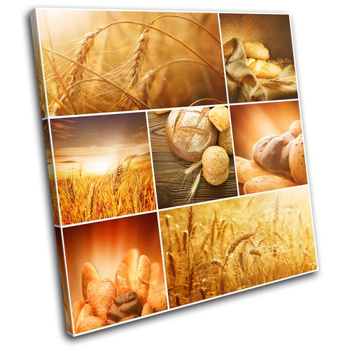 Hay kitchen field food - field, harvest