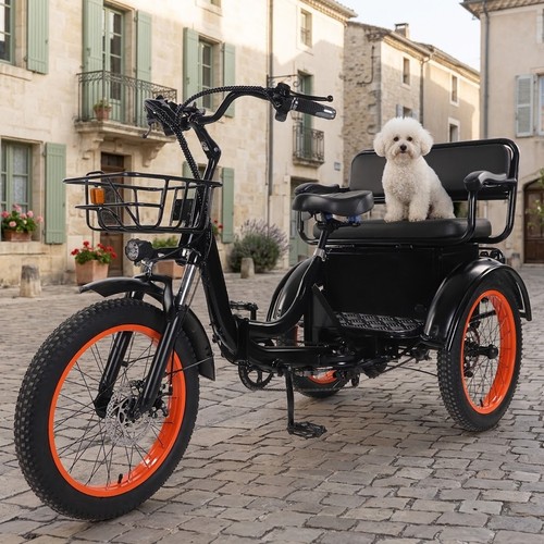 Vélo électrique fat bike - vélo,
