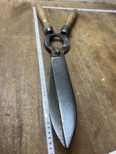 Cisaille Nogent coupe Buis