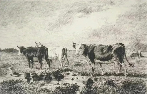 émile van marke - Émile, van-marke