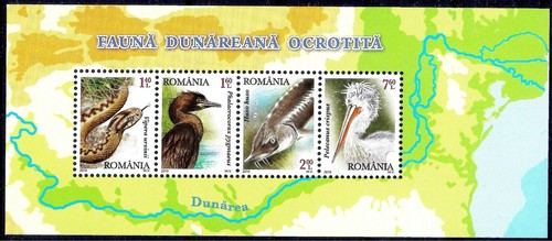 Roumanie 2010 danube fleuve - roumanie,