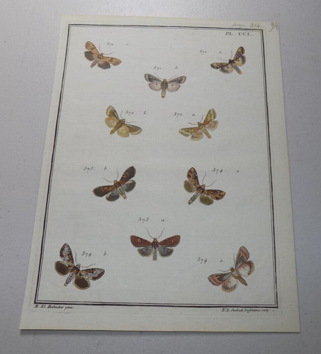 C1779 antique print - antique, /