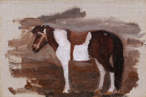 Tableau encadré art - , animalier