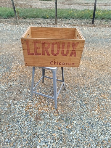 Leroux chicorée caisse - chicorée,
