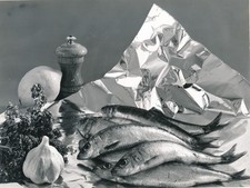 11 Photo Photographs Aluminum Household Cooking Fish Meat ...