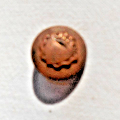 Ancien bouton chasse - ancien,