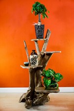 Échelle À Fleurs En Teck En Bois Massif Support De Plantes Étagère À Fleurs