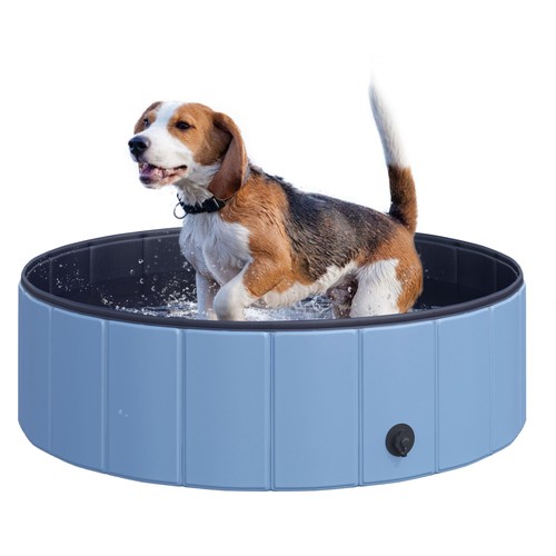 Piscine pour chien - piscine,