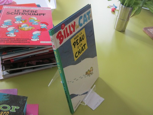 Billy the cat dans la - cat,