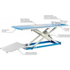 Table élévatrice fixe