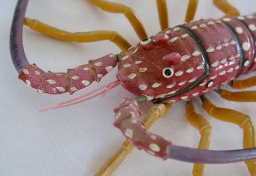 Langouste articulée belle - langouste,
