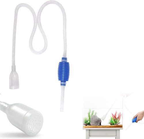 Aquarium fish tank - fish,