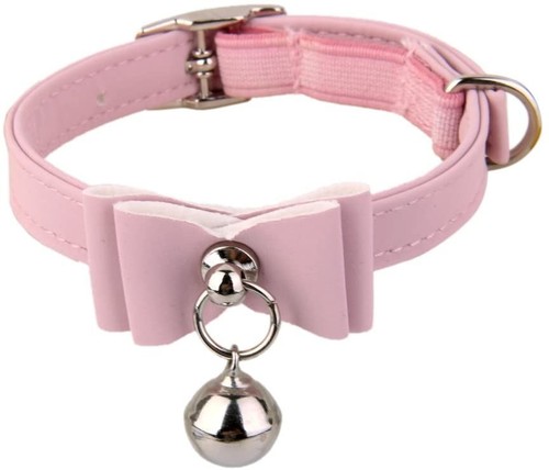 Collier chat chaton chiot - collier,