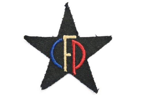 Insigne corps franc - insigne,