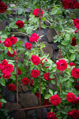 Treillis jardin métal 150 - treillis, de