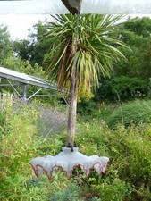 Ancien plafonnier en opaline