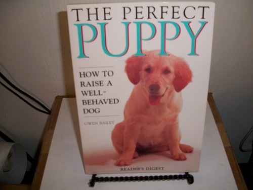 Perfect puppy reader - by, reader's
