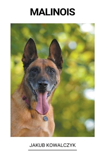 Jakub kowalczyk malinois - kowalczyk,