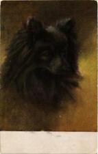 CPA AK Samoyede DOGS (729331)