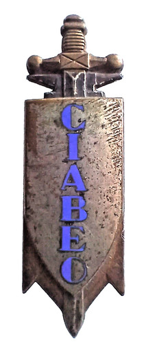 Insigne cavalerie cavdiv - cavalerie,