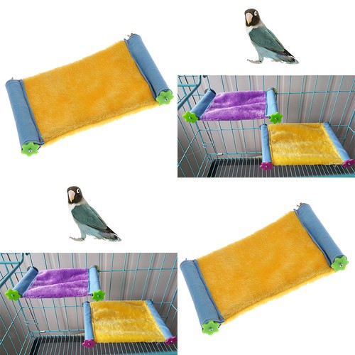 Hamac souris animal hamster - souris,