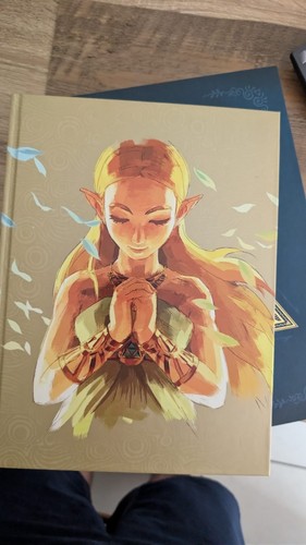 The legend zelda - botw, guide