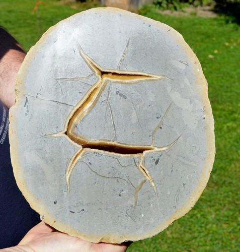Septaria calcite 8550 grams - &,