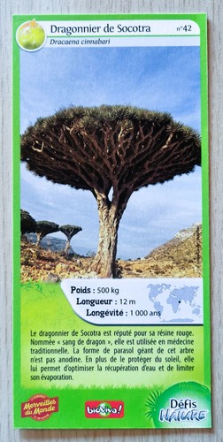 Carte merveilles monde - merveilles,