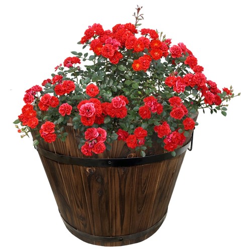 Coffre plantes rond en - À,
