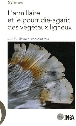Armillaire le - armillaire,
