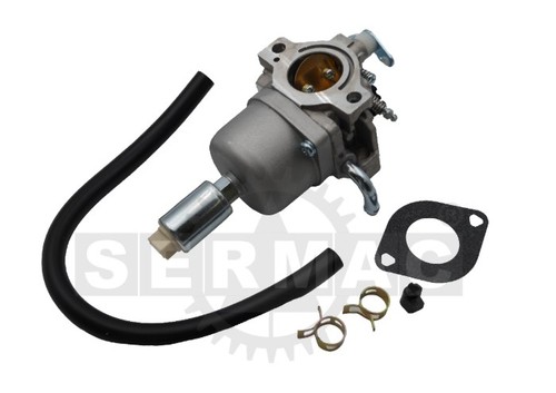 Carburateur pour moteur 5hp - pour,