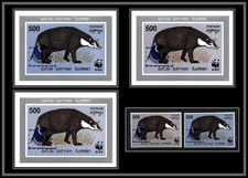 80941 batum Blaireau Badger