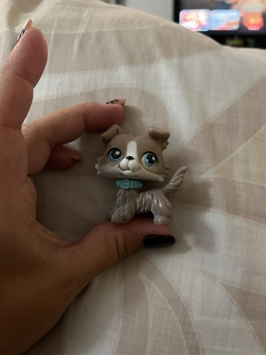 Littlest pet shop figurine - pet,