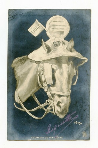 Par pékan cheval - pékan,