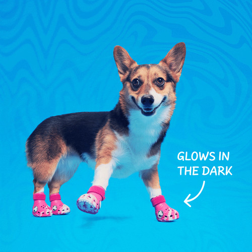 New box pet crocs - new, boots