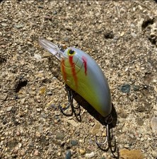 Custom crankbait (wounded shad) spro lil jon KO
