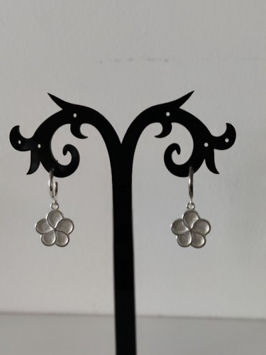 Paire boucles oreilles - boucles, d'oreilles