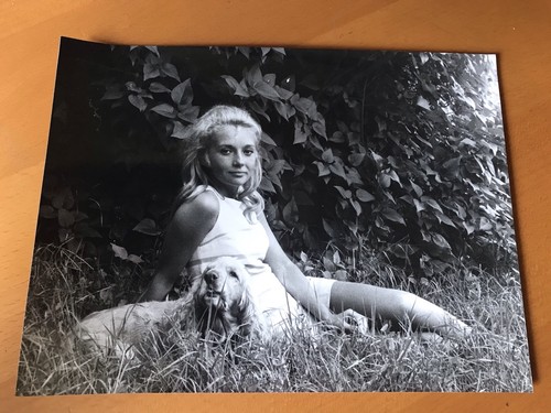 Caroline cellier photo - -,