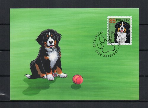 Thématique chiens suisse - thématique,