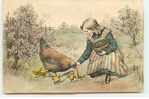 Carte gaufrée fantaisie - carte,