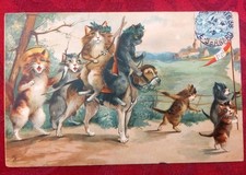 CPA 1905: Chien et Chats - Premier prix du tir aux souris. En l'état !