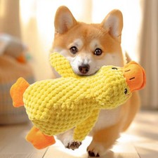 Jouets en peluche pour petits