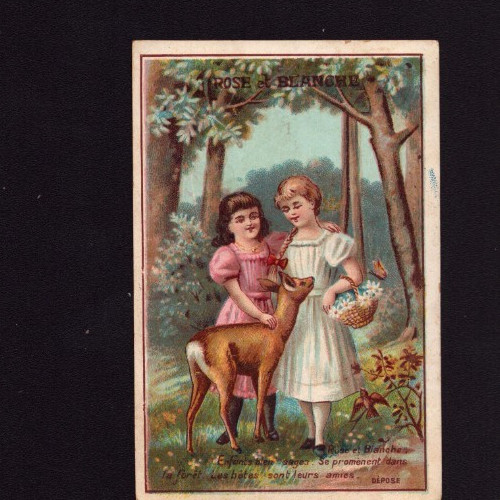 Poix chromo chicoree - (59),