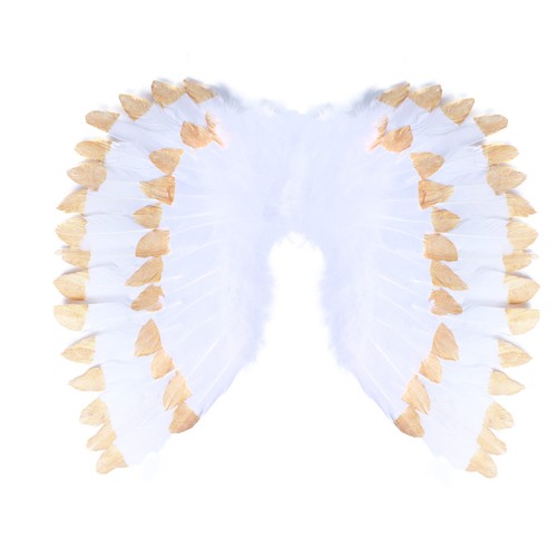 Les ailes ange avec - les,