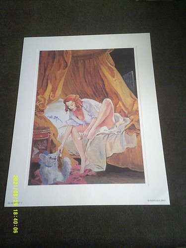 Poster affiche manara - poster,