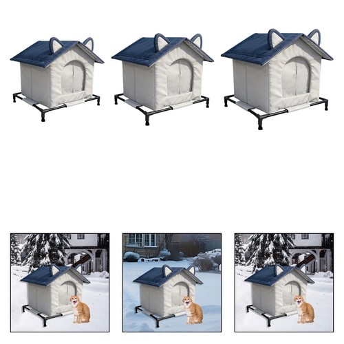 Maison pour chats errants - chats,