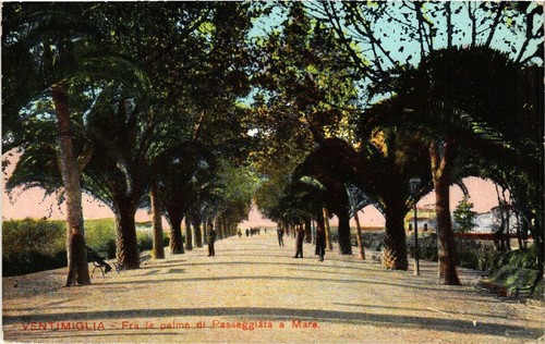Cpa ventimiglia fra le - ak,