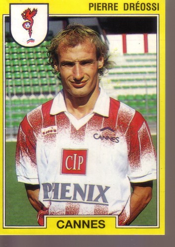 Pierre dreossi panini - pierre,